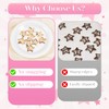 Kunoli Star Hair Clip Y2K Accessories Silver Clips