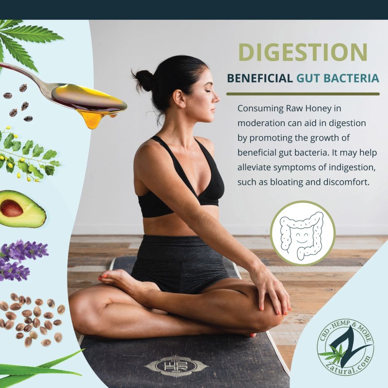 Zatural Raw Honey | Light Amber Honey - 3 Pound