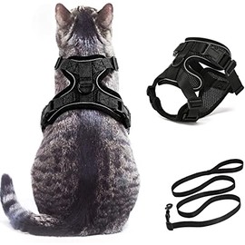 Wolfi Arnes y Correa para Gato a Prueba de Fuga  Equipo de Paseo de Correa y arnes para Gato Suave y Ajustable  Set de arnés y Correa para Gato...    