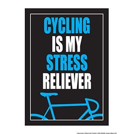 Fitnus Chart Series Cycling is My Stress Reliever 18" X 24" Poster (Blue/White/Black)