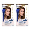Clairol Root Touch-Up by Nice'n Easy Permanent Hair Dye, 6A