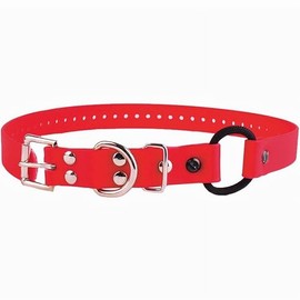 Educator Bungee Dog Collar, Biothane, Waterproof, Odorproof, Metal Buckle and D Ring with Comfort Bungee Loop Adjustable for Custom Fit, 3/4-Inch, Red