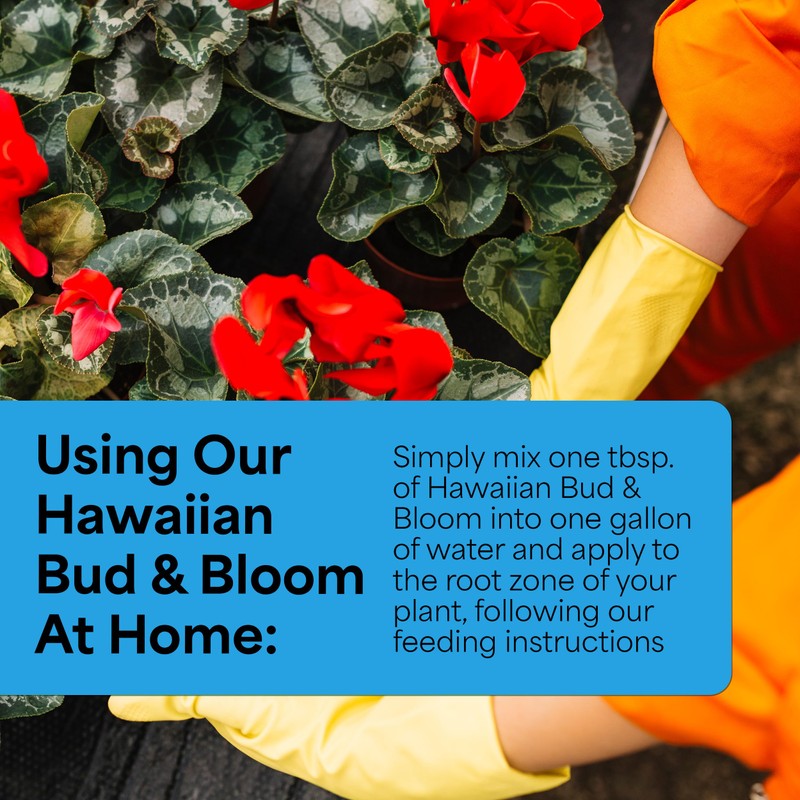 Grow More Urea-Free Hawaiian Bud and Bloom 5-50-17 Fertilizer -