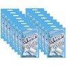 ColFresh Sugar Free Chewing Gum with Xylitol, Peppermint Flavor, 1