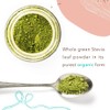 Stevia Orgánica en Polvo, 40 g, Mayan Sweet