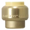 5 Pcs XFITTING 1/2 inch Push Fit Cap, Push to