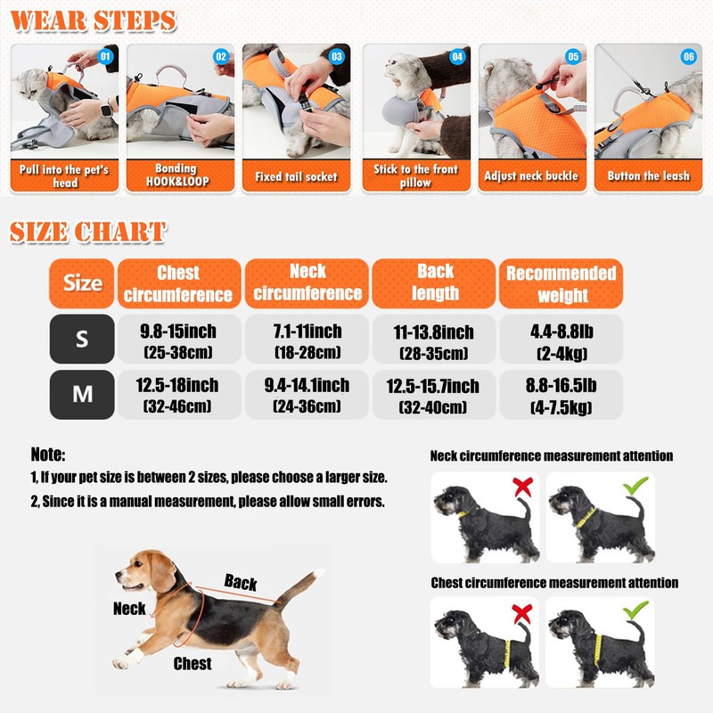 BAMY 2 in 1 Cat Shoulder Carrier, Outdoor Small Dog