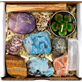 DANCING BEAR Capricorn Zodiac Healing Crystals Gift Set (14 Pc): 9 Stones, 18K Gold-plated Constellation Necklace, Meteorite, Succulent Candle, Palo Santo Smudge stick, and Info Guide, Made in the USA