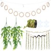 Coldairsoap Snake Climbing Vines with Reptile Plants Kit, Handcrafted Jungle