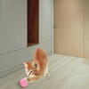 Wloom Cat Ball - Interactive, Self-Moving, Automatic Rolling Toy for