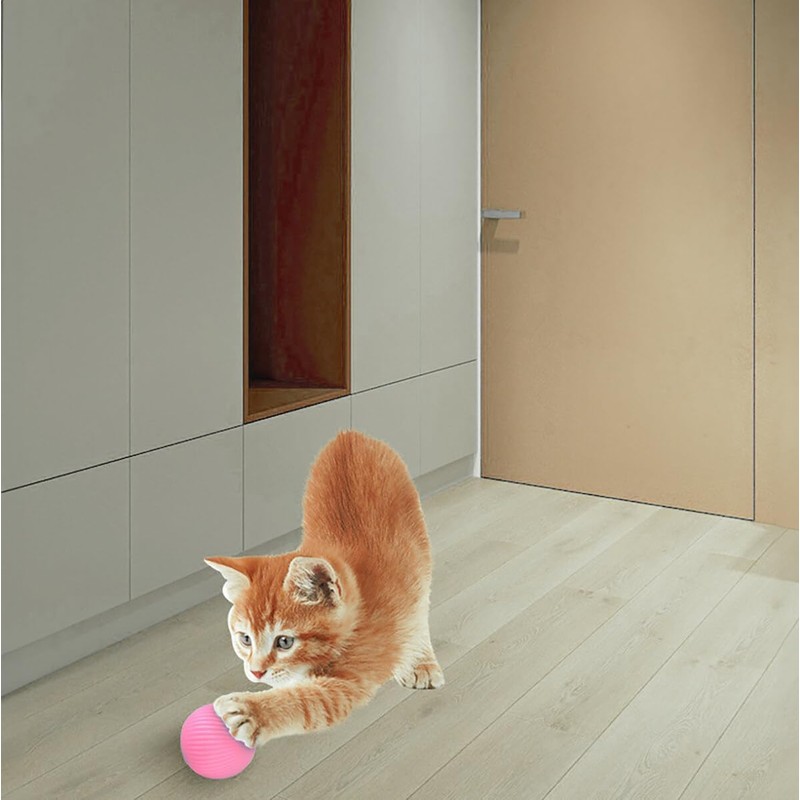 Wloom Cat Ball - Interactive, Self-Moving, Automatic Rolling Toy for