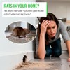 Mice&Co Rat Bait Stations 2 Pack – Lockable Rodent Traps