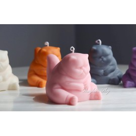 Brighter Sky Grumpy Cat Candle, Natural Premium Soy Wax, French Vanilla, Aesthetic Candles, Gift Ideas, Candle Décor, Gift for Her, Candle Gift, Gift for Friend, Decorative Candles (Pink)