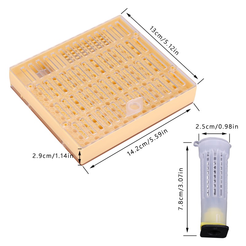 Queen Rearing Cup Kit Bee Cultivating Tool Plastic Beekeeping Box