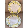 Mikasa Set of 2 Yellow/White Mikasa China LEMONS 11” Dinner