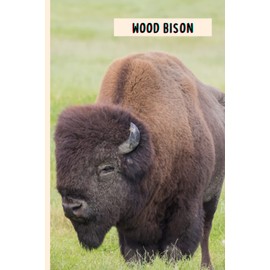Wood Bison: Composition Notebook For Wood Bison Lovers , Wood Bison Lined Journal ,6x9 Inches , 110 Pages ,Wood Bison Diary