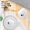 Premium Style AirPods 3rd Generation Anti-Bacterial Soft Case [Alien] PG-DAP3TP04LGM