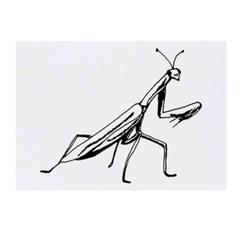 'Praying Mantis' Temporary Tattoo - Water Resistant, Skin-Safe, Non-Toxic Transfer (TO00032723)
