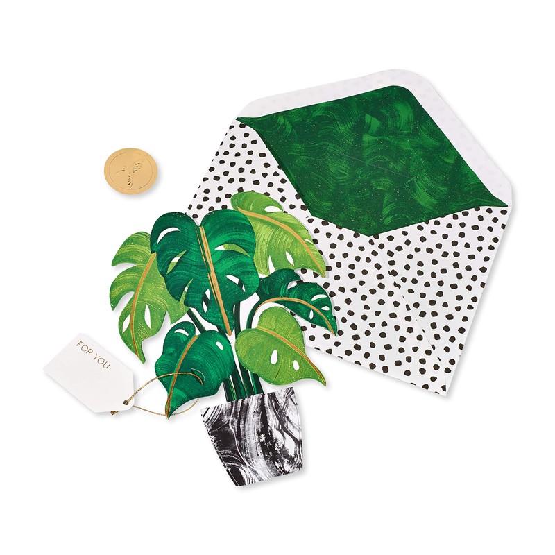 Papyrus Blank Pop Up Card (Plant)