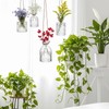 Romooa 6 Pcs Hanging Planters Glass Vases Transparent Glass Terrariums