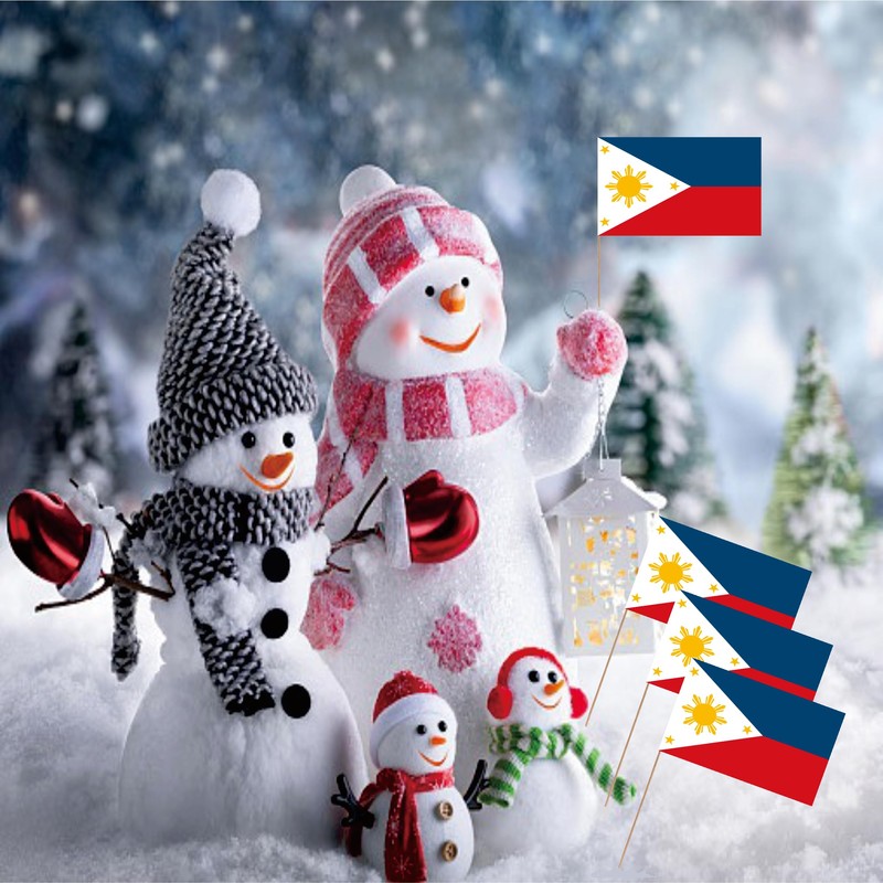 Philippines Toothpick Flag Filipino Philippine National Small Mini Cocktail Fruit