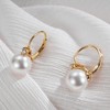 SWJEWEL 10mm Freshwater Cultured Leverback Pearl Earring Set with AAA