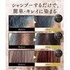 KIWABI Gray Hair Dyeing Shampoo Dark Brown 2-Piece Set Color