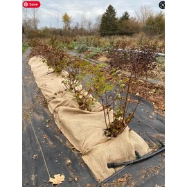 Rocky Mountain Goods Burlap Fabric Roll 3 Ft X 150 Ft - Bulk Burlap -Gardening, Tree Protection, Weeds Barrier, Hay, Crafts Bees - Biodegradable