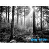 Pig Iron Yellow Y2 Pro Filter. Contrast Booster for Black