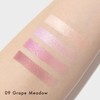 Lunasol Eye Coloration N 09 Grape Meadow [Eye Shadow Palette]
