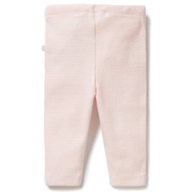 Wilson & Frenchy Organic Stripe Rib Legging - Cantaloupe, 0 (6 - 12 Months)