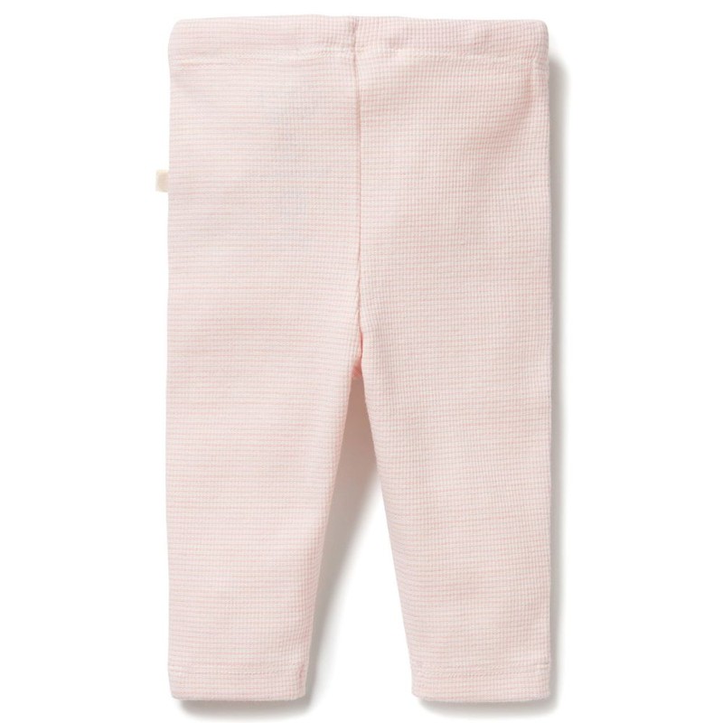 Wilson & Frenchy Organic Stripe Rib Legging - Cantaloupe, 0