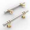 Amerdeco 10 Pack Brushed Satin Nickel and Gold Cabinet Pulls