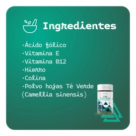Sluu SYNC Nootrpico  Gomitas, Desarrollo Cognitivo, Claridad Mental y Memoria  60 Gomitas  Sabor Limn-Jengibre  Vitamina E, Vitamina B12, cido Flico, 