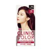 Flower Boy 꽃을든남자 크리닉 칼라 R6 체리레드 패션칼라용 Flower Holding Man Clinic Color R6 Cherry Red Fashion Color