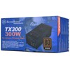 SilverStone Technology 300 Watt TFX Computer Power Supply with 80