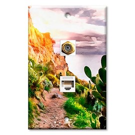 Art Plates - Decorative Printed 2 Port Data Wall Plate, RJ11 Telephone Jack Connector with RJ45 (Cat5, Cat6, Cat7) Ethernet Connector, Gold-Plated - Cactus Painting