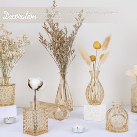 TBWIND Glass Bud Vase Set of 24, Small Clear Flower Vases for Centerpieces in Bulk, Mini Vintage Vase for Wedding Decor, and Home Table Décor