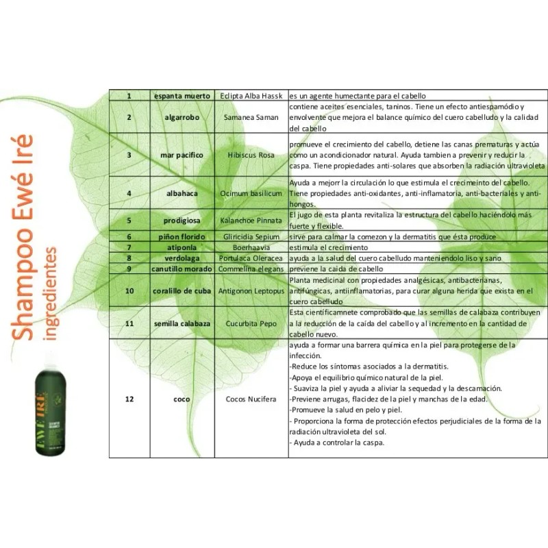 Shampoo Orgánico Y Ecológico Ewé Iré - 500ml