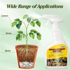2 Pack Neem Oil & Peppermint Plant Spray – Natural