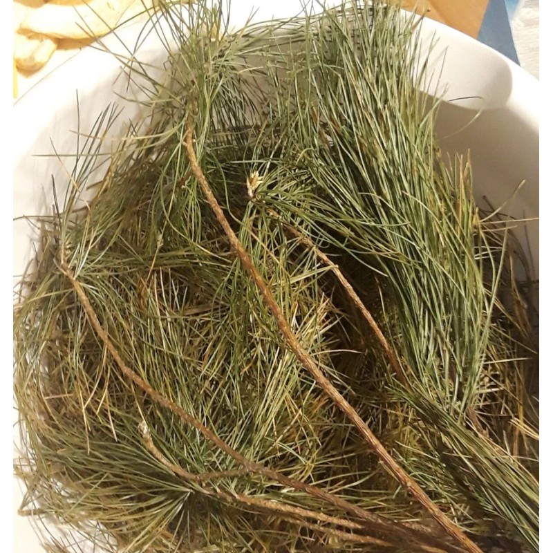 Homemade 25 Pc Lot: Organic Eastern White Pine Needle Tea