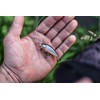Rapala - Fishing Lure Countdown Elite Construction Balsa - Soft