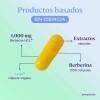 Fit Berberina 120 Cápsulas Veganas 1000mg Extracto Puro Berberis Aristata