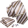 Barry.Wang Men's Silk Business Ties with Handkerchief, Cufflink Stripes Plaid