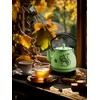 Toptier Teapot with Removable Infuser, Cast Iron Tea Kettle Stovetop