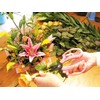 ARS Corporation FP-17-P Commercial Flower Scissors, Fleur (Pink)
