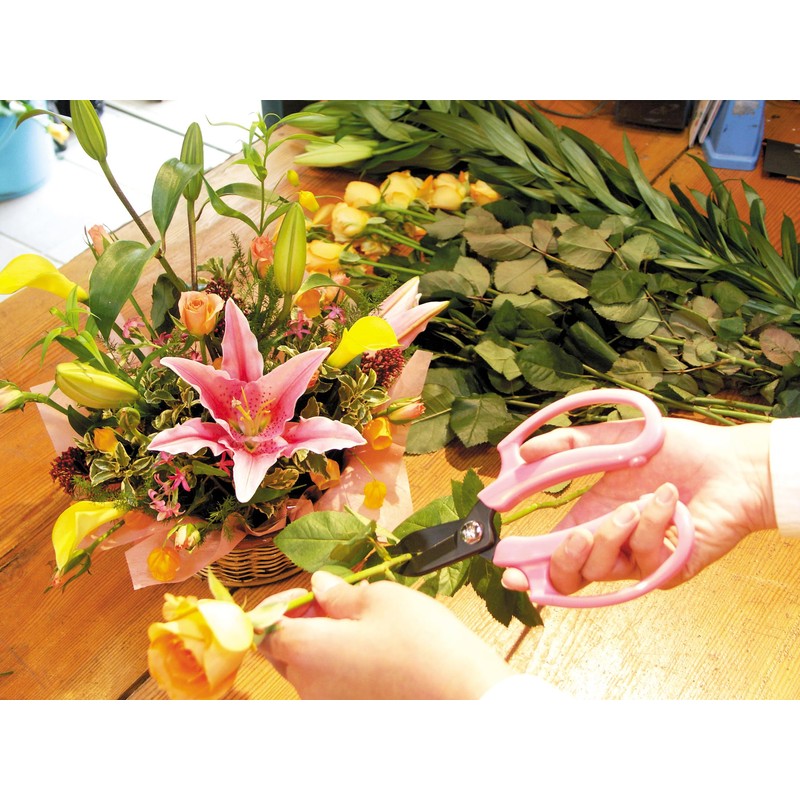 ARS Corporation FP-17-P Commercial Flower Scissors, Fleur (Pink)
