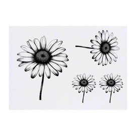4 x 'Daisy' Temporary Tattoos - Water Resistant, Skin-Safe, Non-Toxic Transfers, Mixed Sizes (TO00061544)