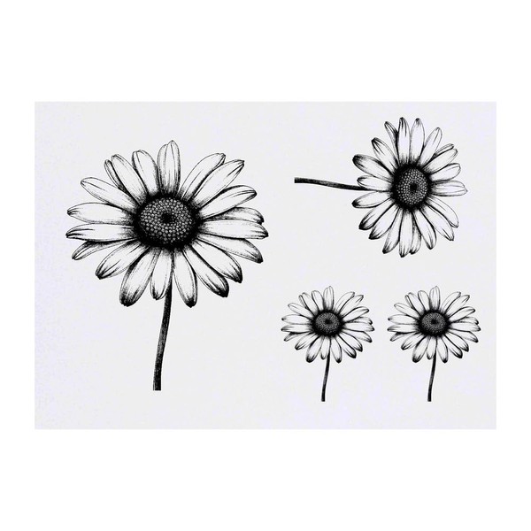 4 x 'Daisy' Temporary Tattoos - Water Resistant, Skin-Safe, Non-Toxic