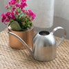 500ml Stainless Steel Indoor Outdoor Watering Can Garden Plant Flower